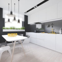 cuisine dans les idées de design Khrouchtchev
