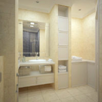 niche dans une petite salle de bain