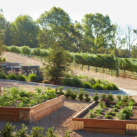 jardin avec lits design photo