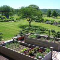 jardin avec des lits de jardin des idées de design