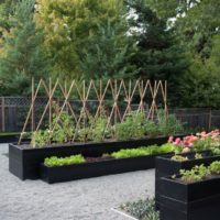 jardin avec des lits au chalet photo design