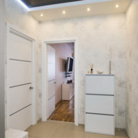 couloir dans un appartement dans une maison à panneaux
