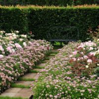 parcelle de jardin 4 cents idées de conception de pièces