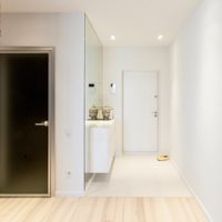 hall d'entrée design élégant dans un appartement dans une maison à panneaux
