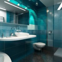Thème marin dans la salle de bain toilettes combinées