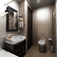Armoire pour les besoins domestiques dans une salle de bain combinée