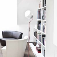 idée de décor insolite de photo d'étagères