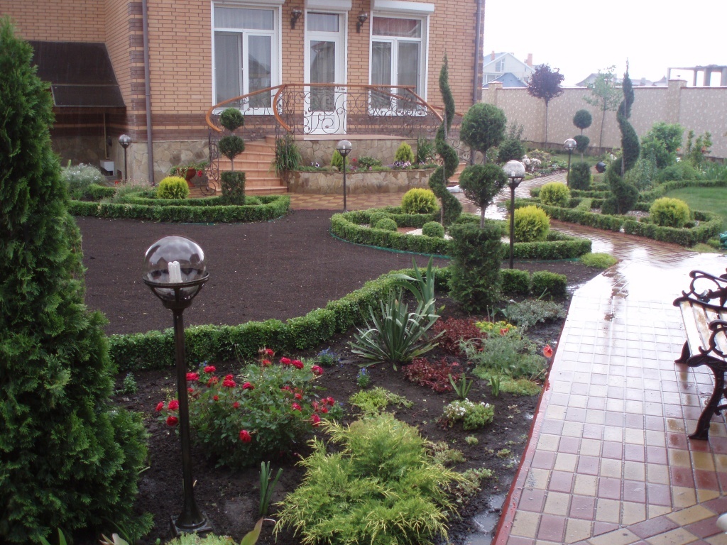 Plantes et fleurs basses dans les parterres de jardin