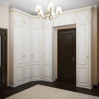 Armoires dans le couloir dans un style classique