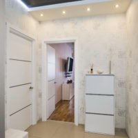 Hall d'entrée avec plafond sombre et murs clairs.
