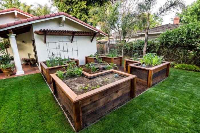 Lits de jardin sur des parterres de fleurs surélevés en bois