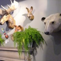 Imitation d'animaux empaillés selon la technique du papier mâché