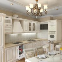 Un exemple de photo de projet de style cuisine lumineux