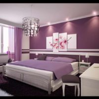 un exemple d'un style inhabituel d'une photo de chambre