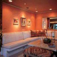 un exemple de combinaison d'une couleur pêche inhabituelle dans le style d'une photo d'appartement