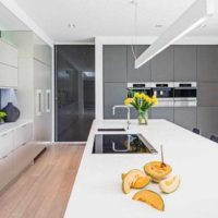 option d'un plafond intérieur lumineux dans la photo de la cuisine