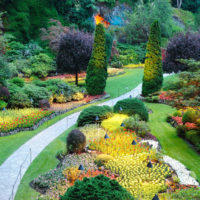 Jardin avec plantes à fleurs