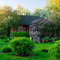 Jardin avec un vieux puits