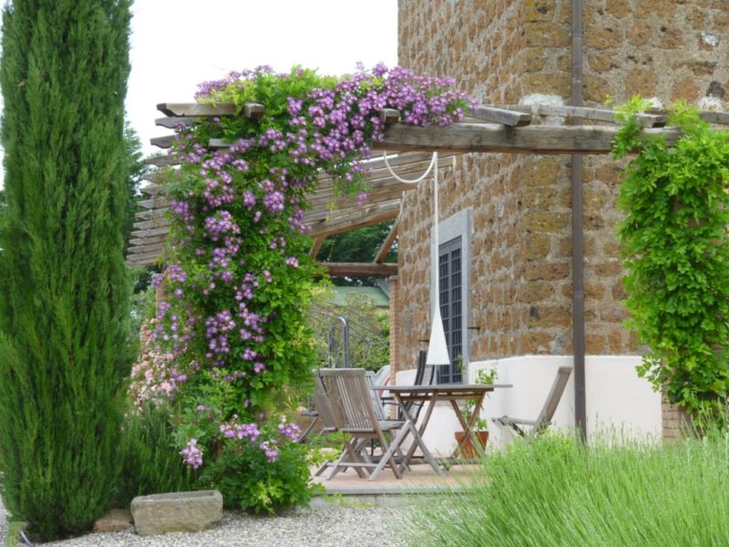 Pergola avec clématites en fleurs dans la conception d'un petit jardin