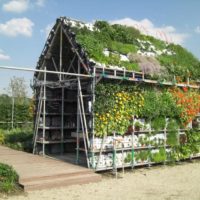 Cultiver des fleurs dans le mur et sur le toit d'un abri de jardin