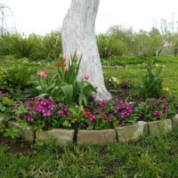 Décorer un tronc d'arbre avec des fleurs