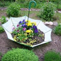Parterre de jardin d'un vieux parapluie
