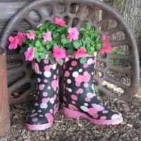 Vieilles bottes comme nouveaux pots de fleurs