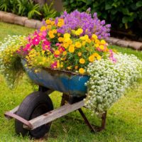 Vieille voiture dans le rôle d'un parterre de jardin