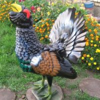 Grouse décorative dans le jardin