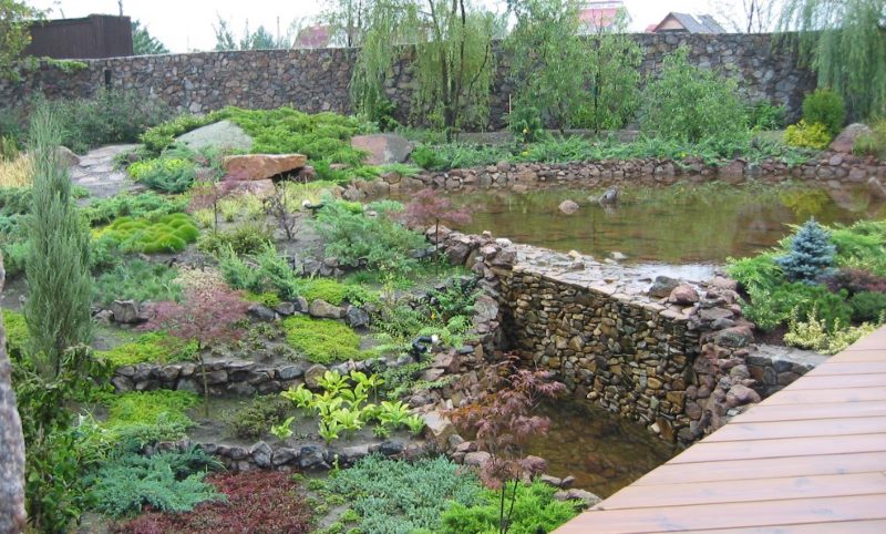 Pente sauvage dans l'aménagement paysager d'une parcelle de jardin