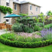 Parterre de fleurs lilas sur une pelouse