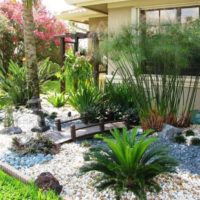 Coin d'un jardin tropical dans une maison de campagne