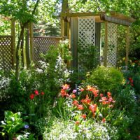Pergola et une clôture en bois sur un petit terrain