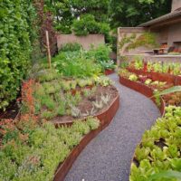 Grands parterres de fleurs dans le jardin