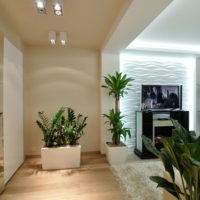 Plantes vivantes dans la conception d'un studio