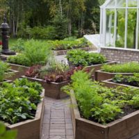 Lits de jardin DIY de planches
