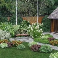 Zone de banc à côté de l'hortensia en fleurs