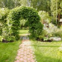Une arche de jardin entrelacée de boucles sur un chemin de chaussée
