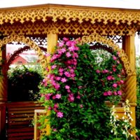 Décoration d'un pavillon d'été avec des loches en fleurs