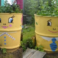 Barils d'eau dans la décoration du jardin