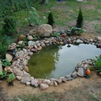 Petit étang à faire soi-même dans le jardin