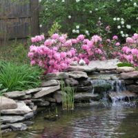 Fleurs roses sur cascade artificielle
