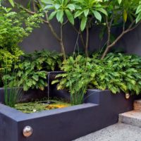 Bassin en béton dans le coin du jardin