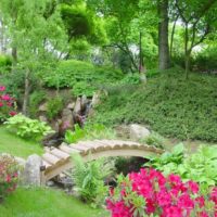 Pont en bois sur la crique du jardin