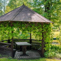 Plantes grimpantes dans la conception d'un gazebo de jardin