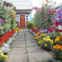 Plates-bandes en bordure de l'allée du jardin