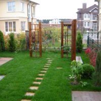 Pelouse dans un petit jardin
