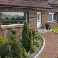 Parterre de conifères devant la fenêtre d'une maison de campagne
