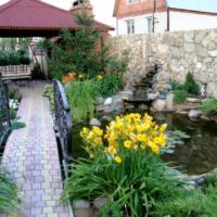 Bassin artificiel dans l'aménagement du jardin
