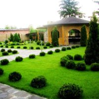 Jardin paysager dans un style régulier